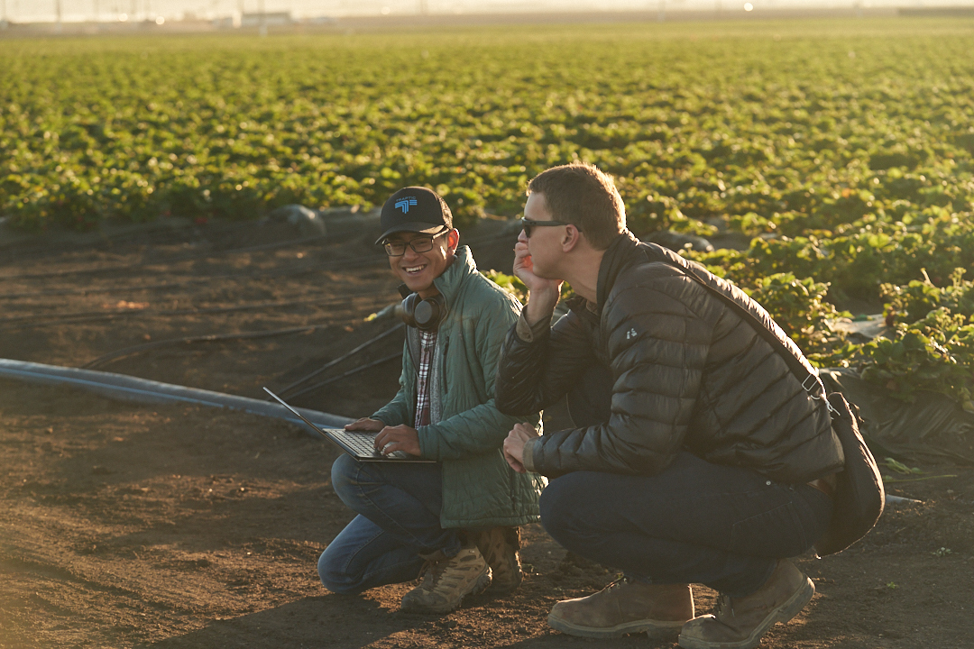 in the field